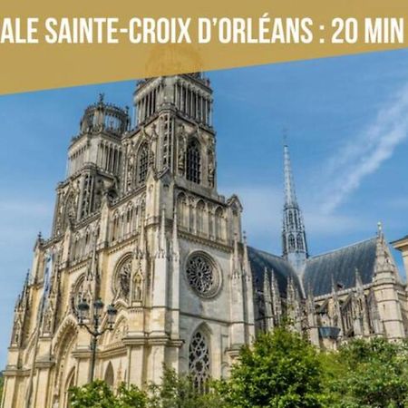 La Madeleine Maison *T3* Leilighet Orléans Eksteriør bilde